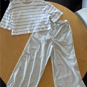 Aritzia Babaton Linen Wide Leg Pants & Cropped Shirt Set